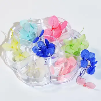 Sušené kvety Ozdoba Mini Nechtov Sušené kvety Farebné DIY Dekoratívne Mix Sušené kvety Manikúra Dekorácie